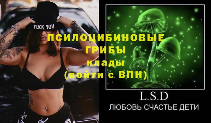 купить закладку  Карабулак  Галлюциногенные грибы Psilocybe 